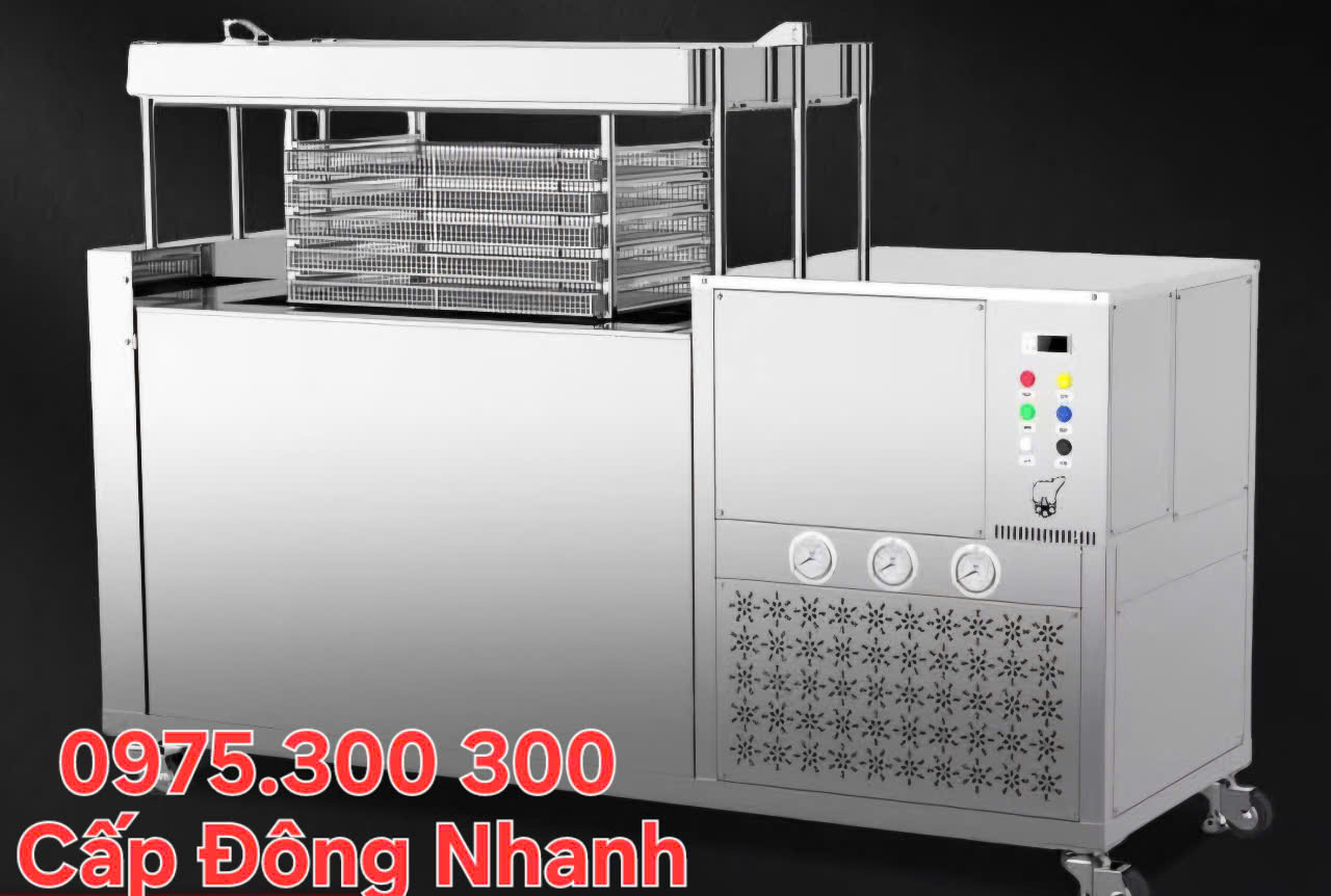 máy cấp đông nhanh hải sản