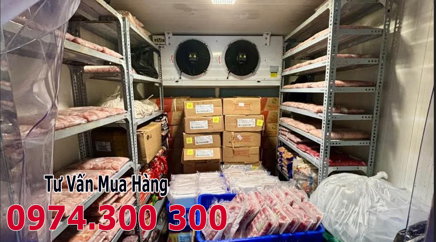 kho lạnh cấp đông thịt heo