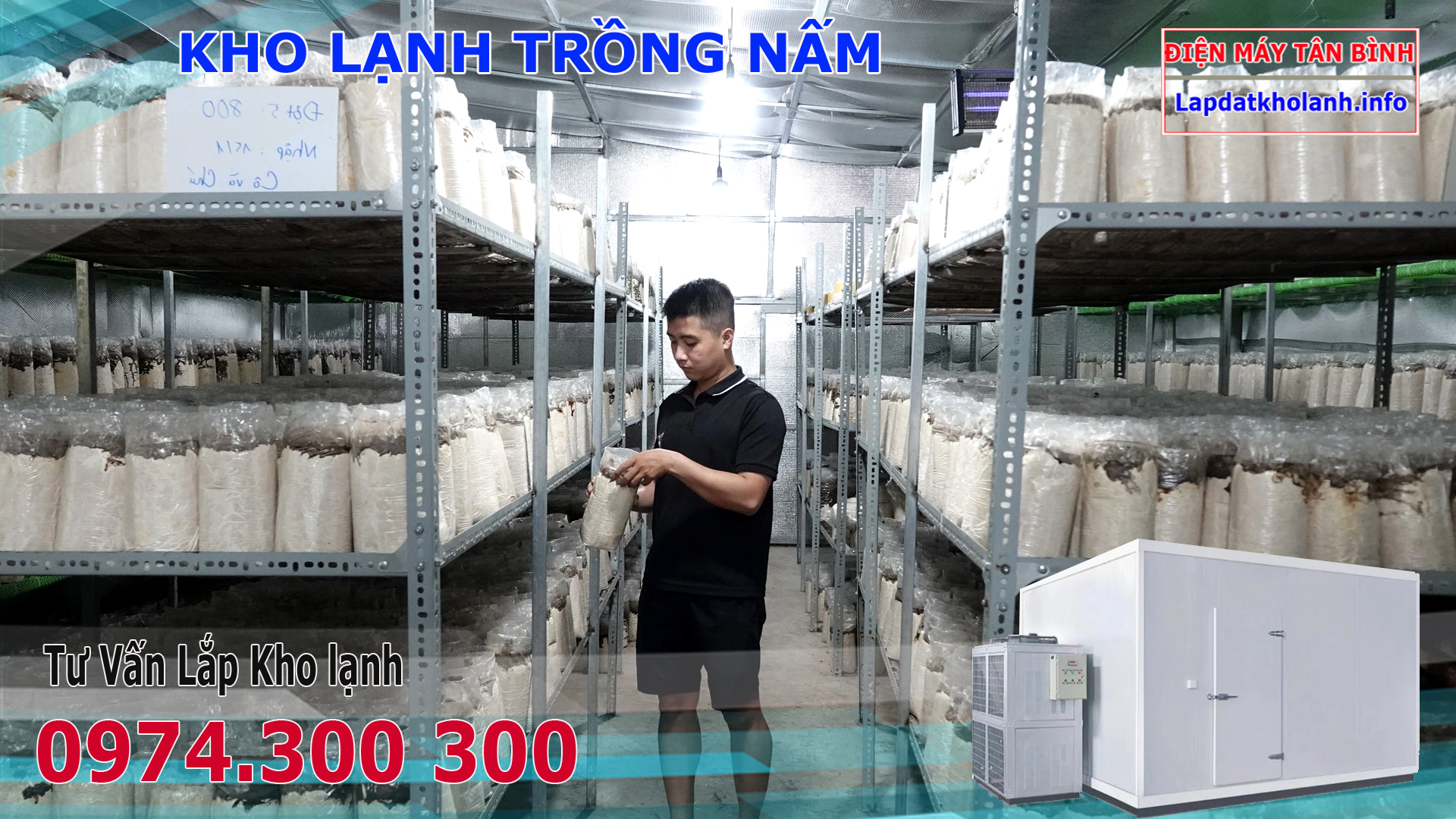 Lắp kho lạnh trồng Nấm Rơm, Đùi Gà, Nấm Hương,Bào Ngư