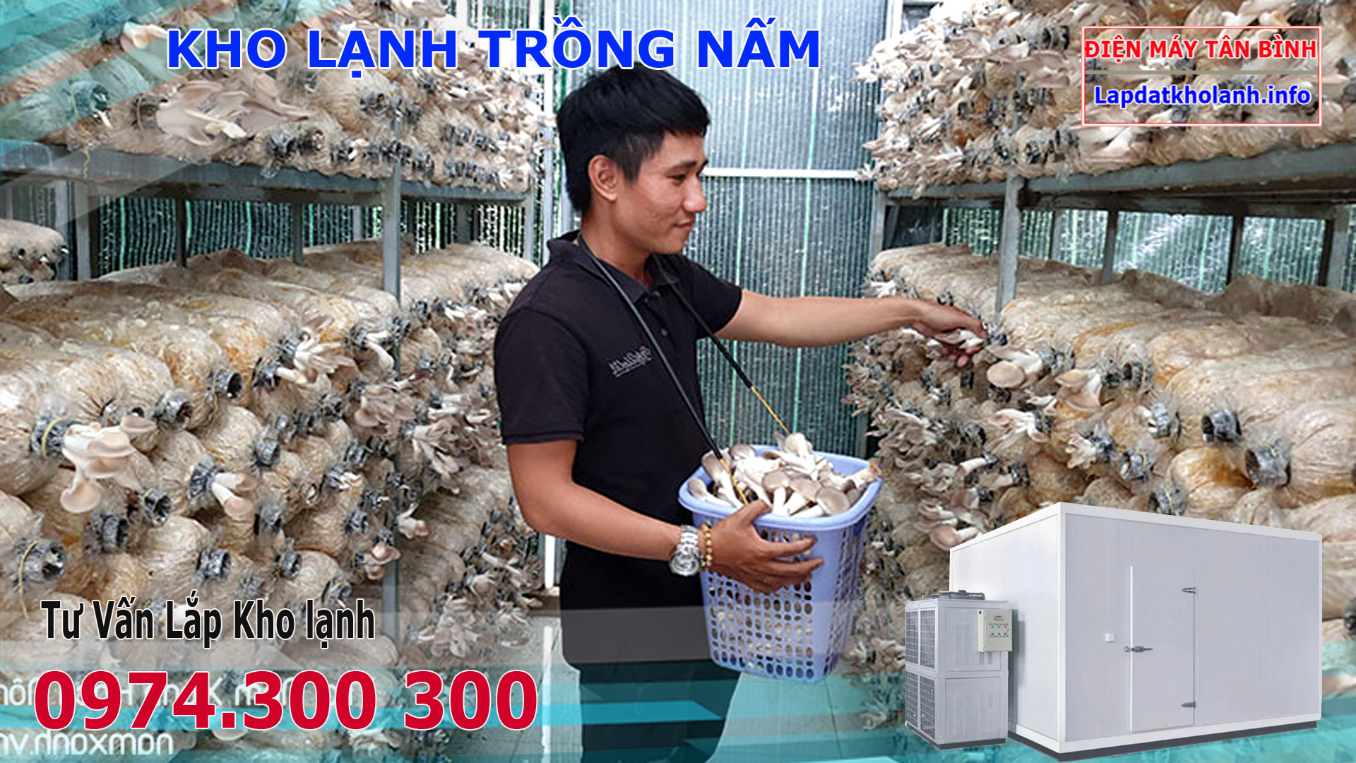 Lắp kho lạnh trồng Nấm Rơm, Đùi Gà, Nấm Hương,Bào Ngư