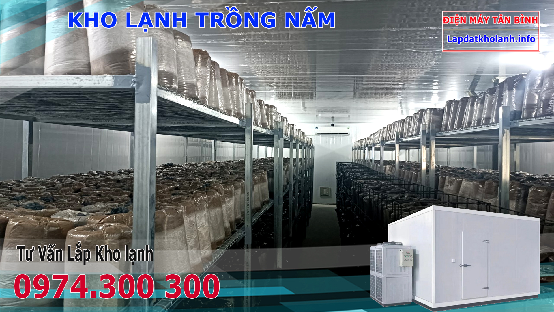 Lắp kho lạnh trồng Nấm Rơm, Đùi Gà, Nấm Hương,Bào Ngư