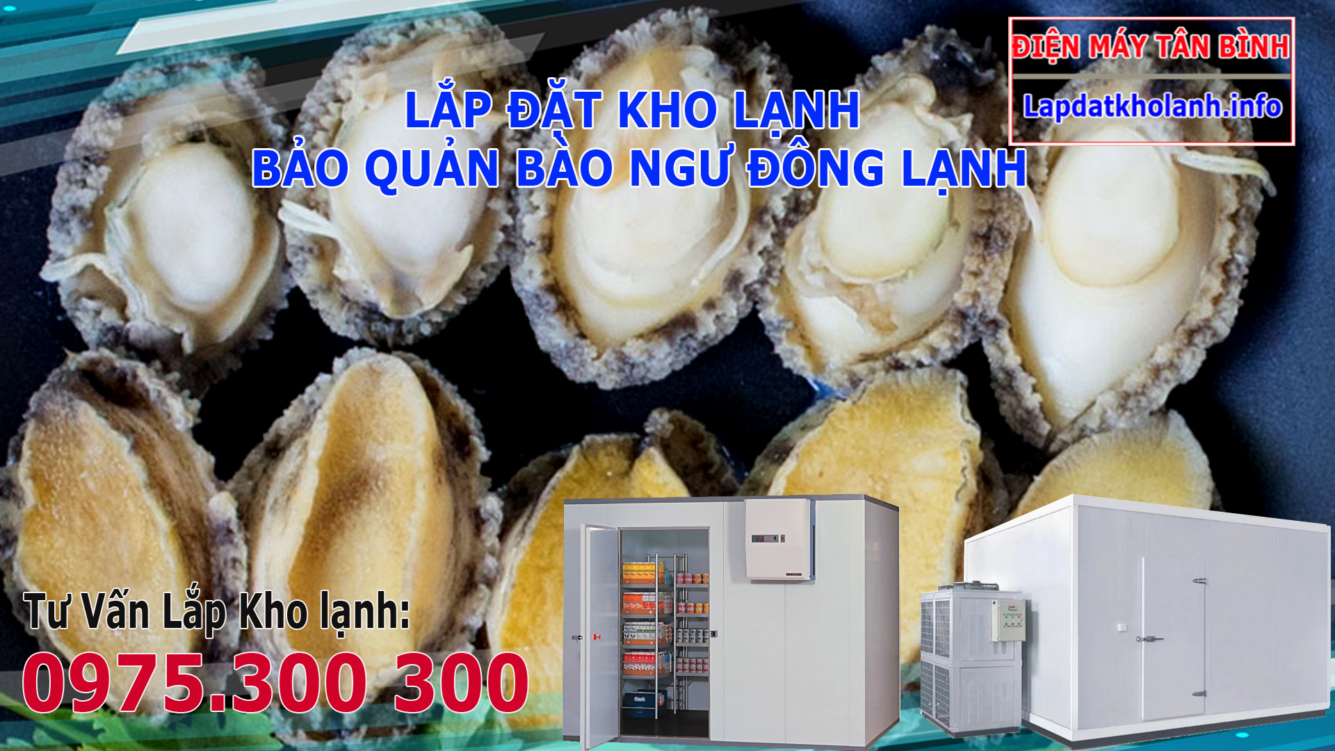 Bào ngư đông lạnh có tốt không? cách bảo quản bào ngư
