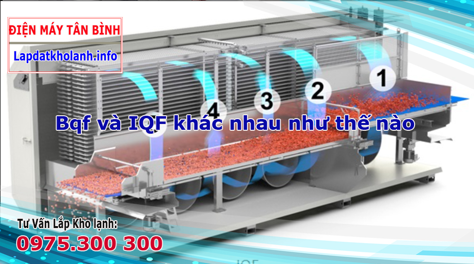 So sánh Bqf và IQF khác nhau như thế nào