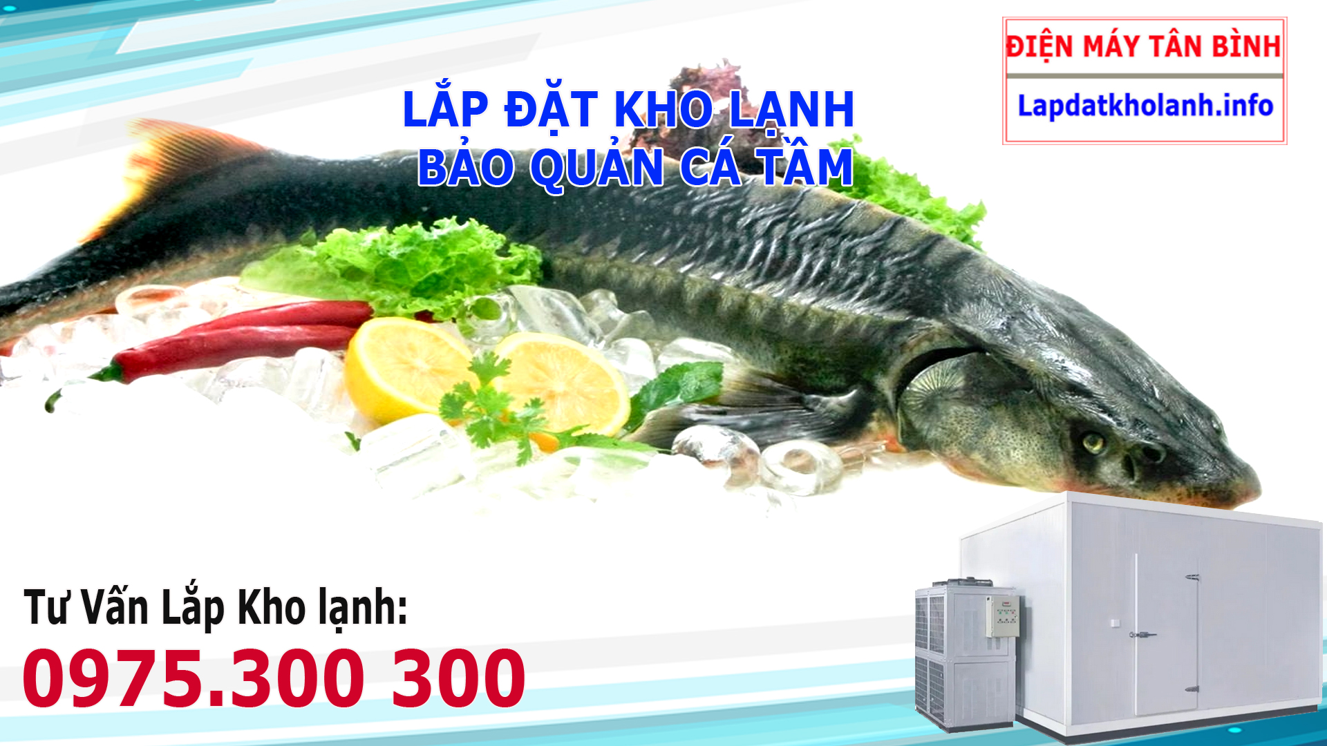 kho lạnh bảo quản cá tầm