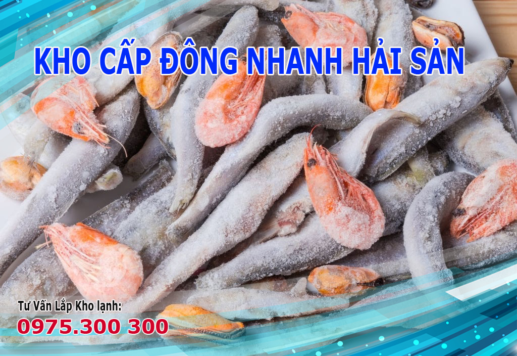 cấp đông nhanh hải sản