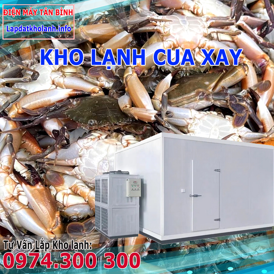 Lắp đặt kho lạnh bảo quản Cua Xay tươi và Đông Lạnh