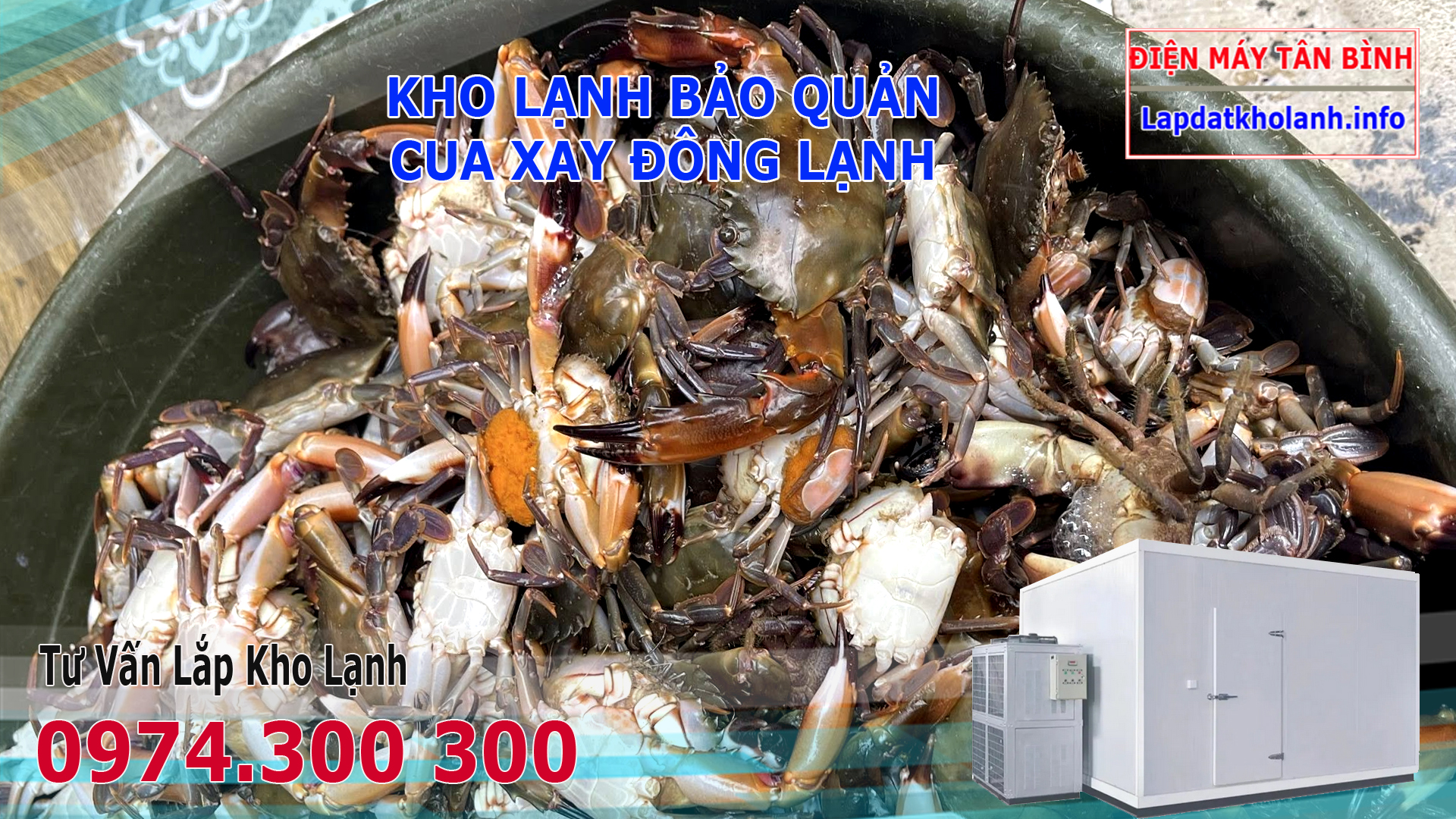 kho lạnh bảo quản cua