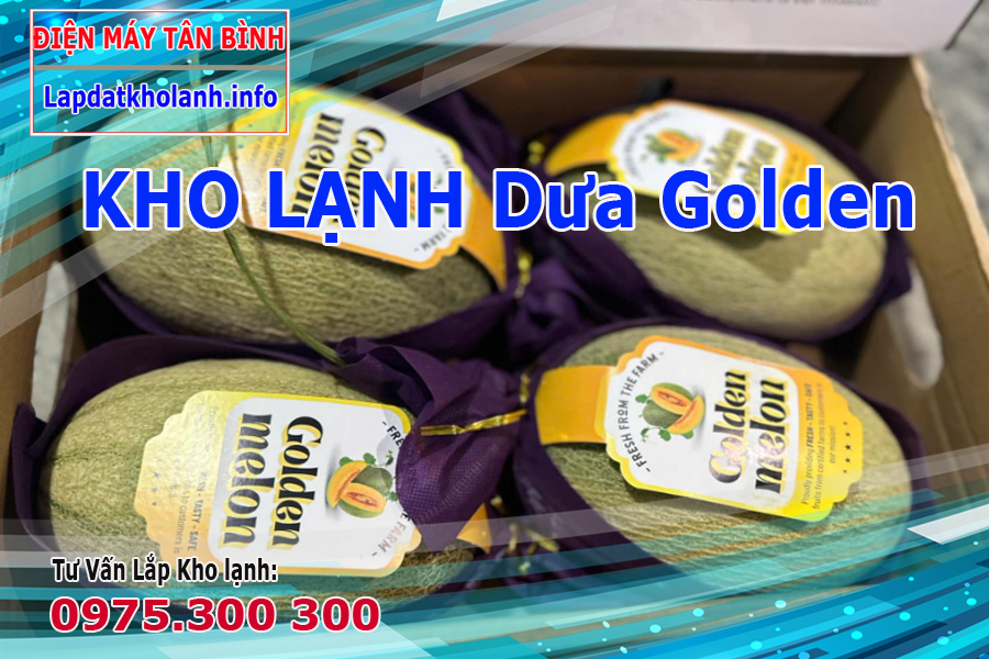 Cách bảo quản Dưa Golden tươi lâu trong kho lạnh