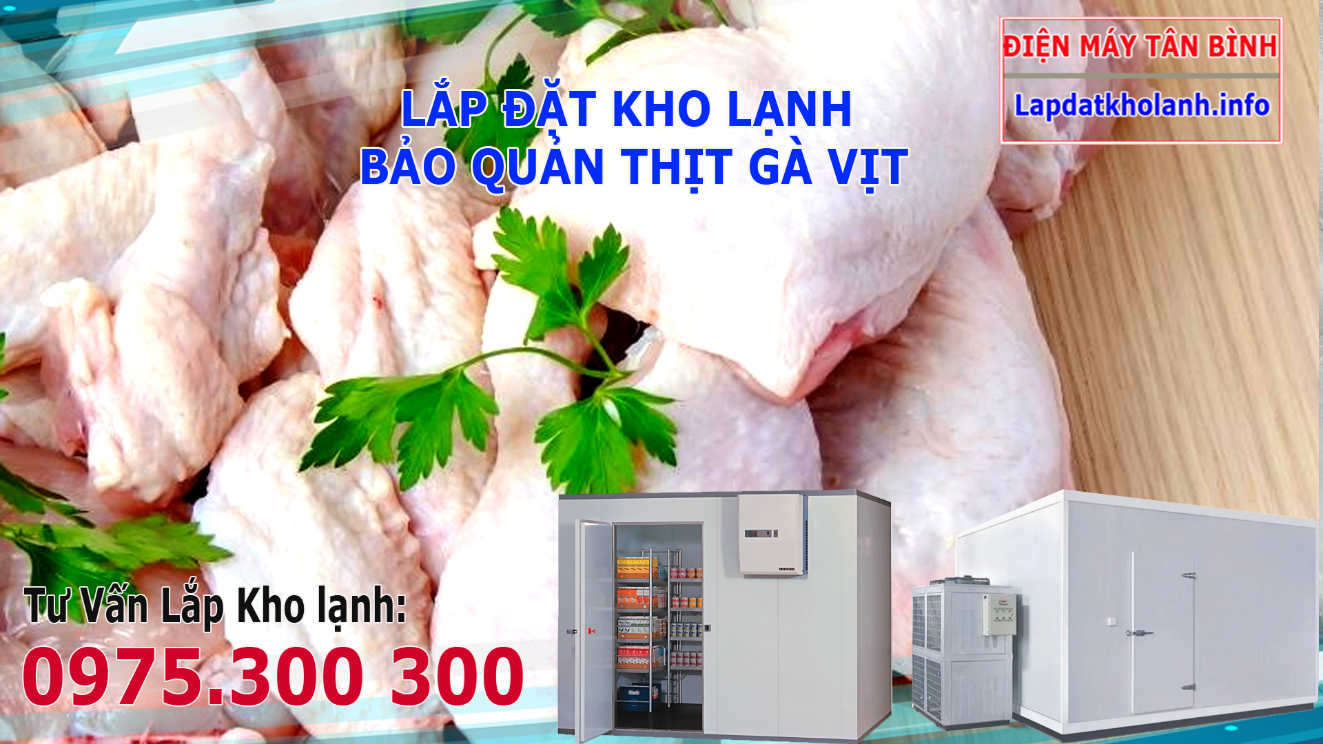kho lạnh bảo quản thịt gà vịt