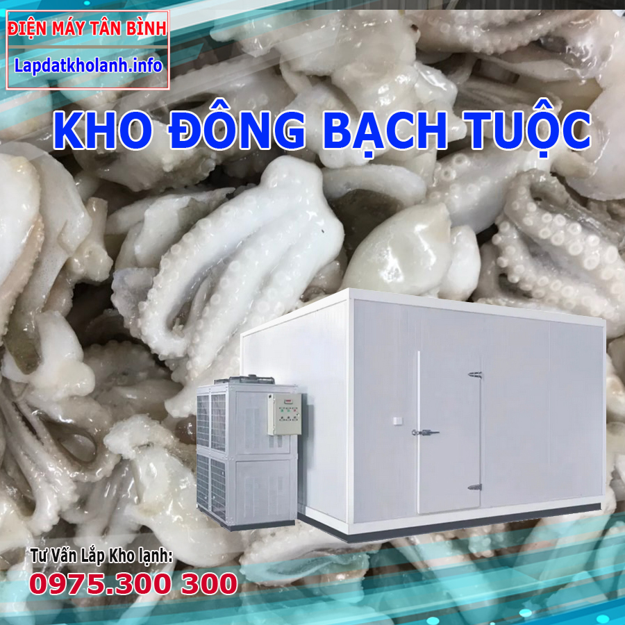 Cấp đông nhanh Bạch tuộc bằng kho lạnh
