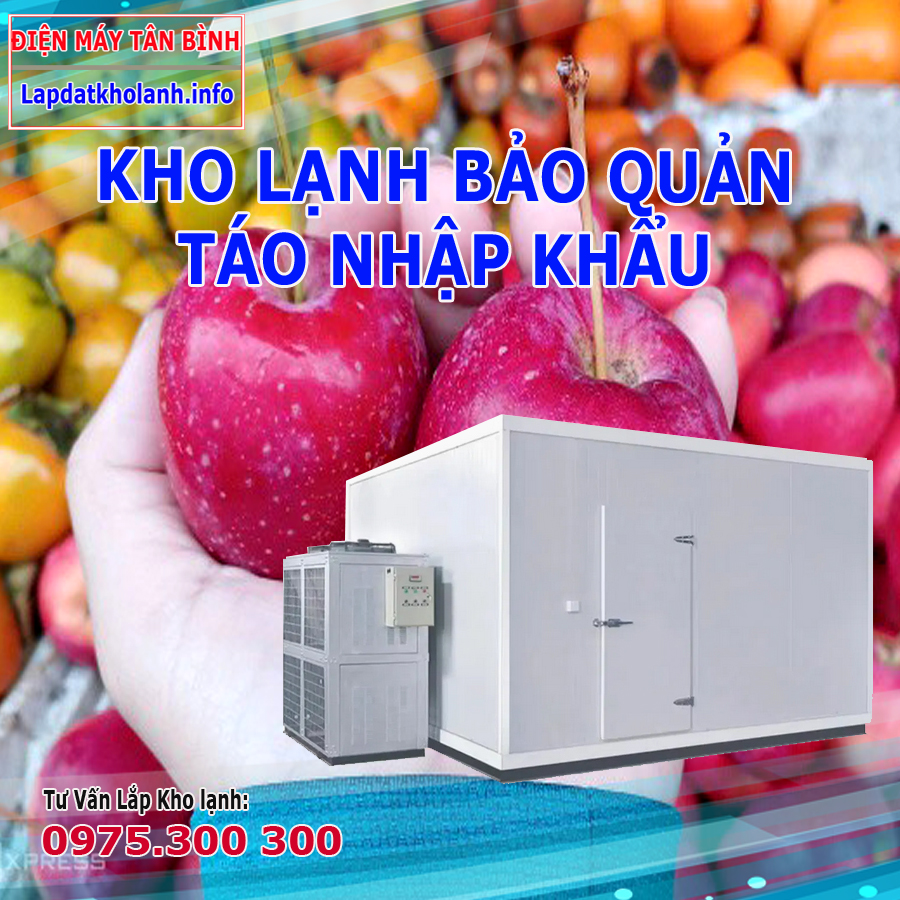 Lắp đặt kho lạnh bảo quản táo nhập khẩu