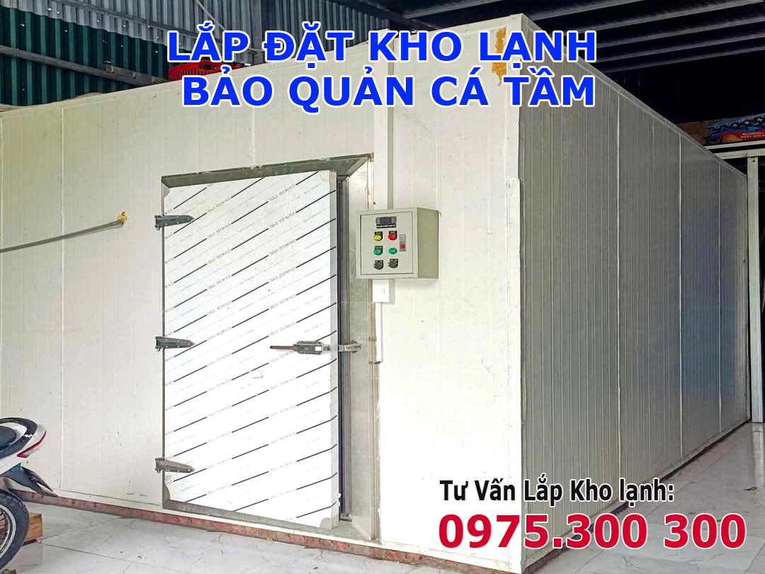 lắp đặt kho đông lạnh bảo quán cá tâm