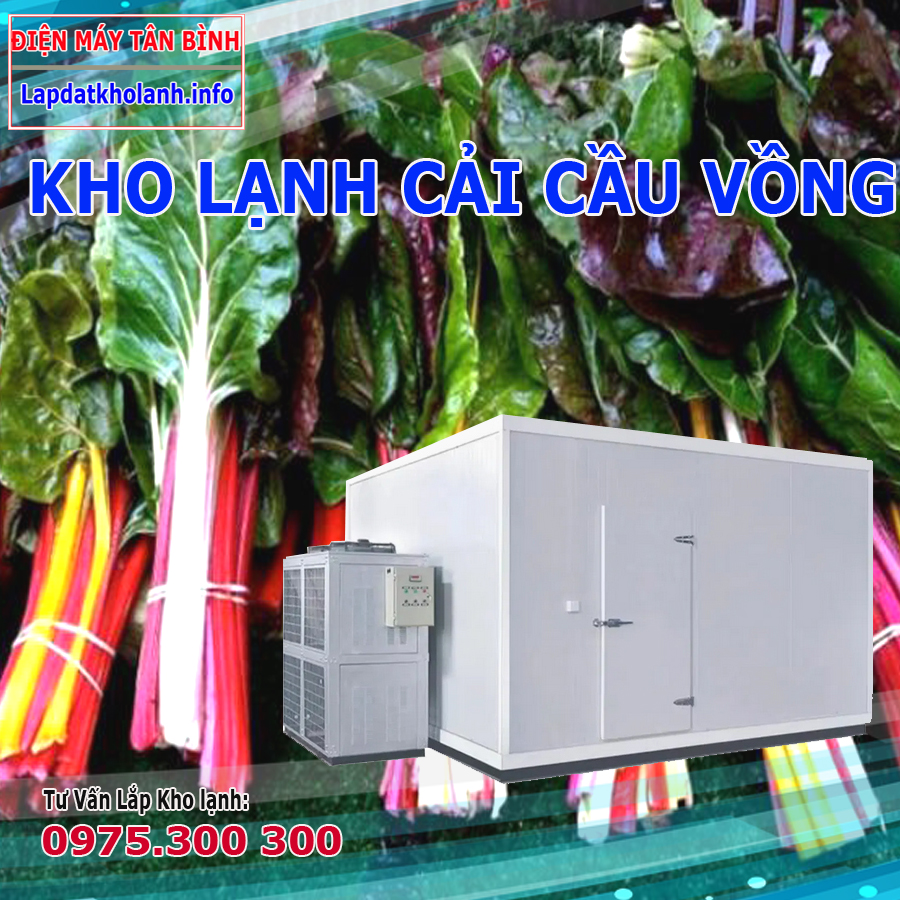 Lắp đặt kho lạnh bảo quản cải cầu vồng