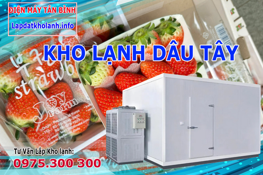 Cách bảo quản Dâu Hàn Quốc tươi lâu trong kho lạnh