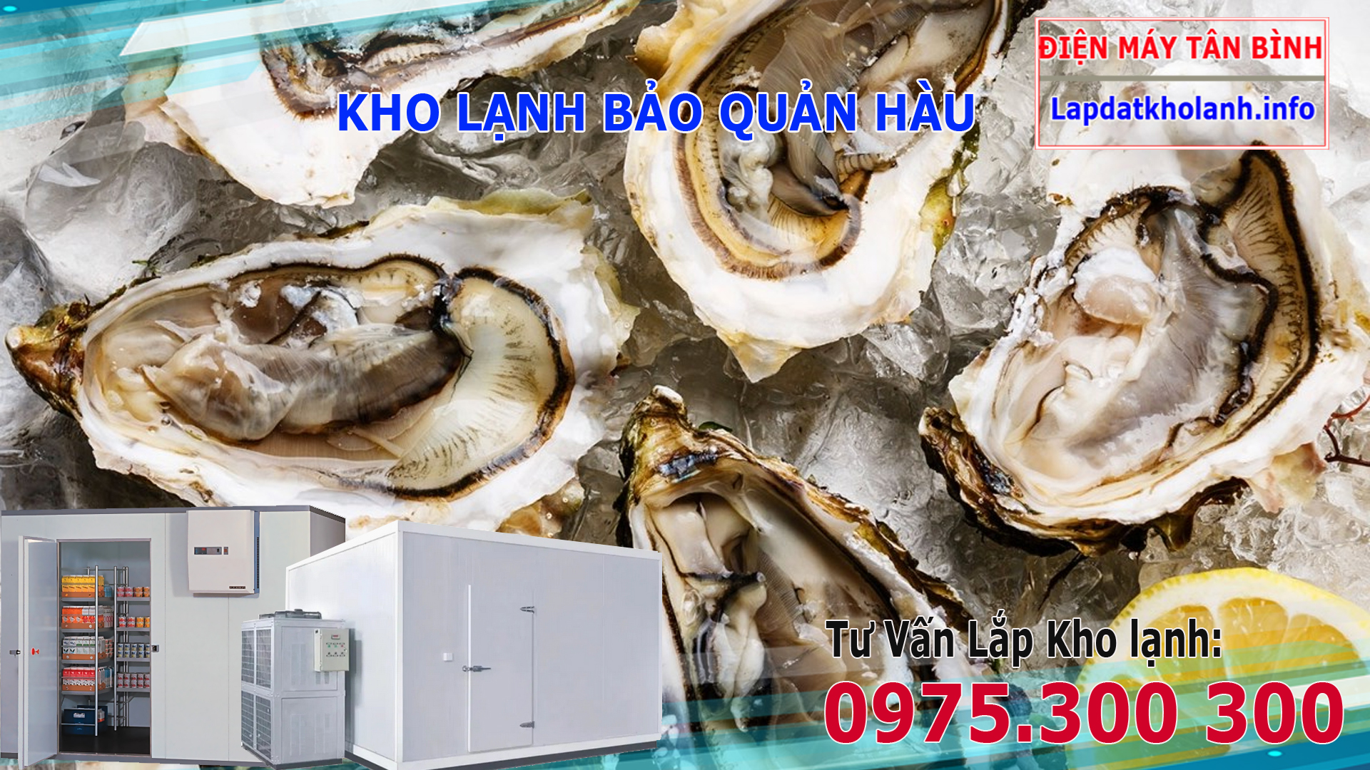 lắp đặt kho lạnh bảo quản hàu