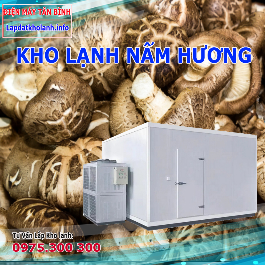 Lắp đặt kho lạnh bảo quản nấm hương