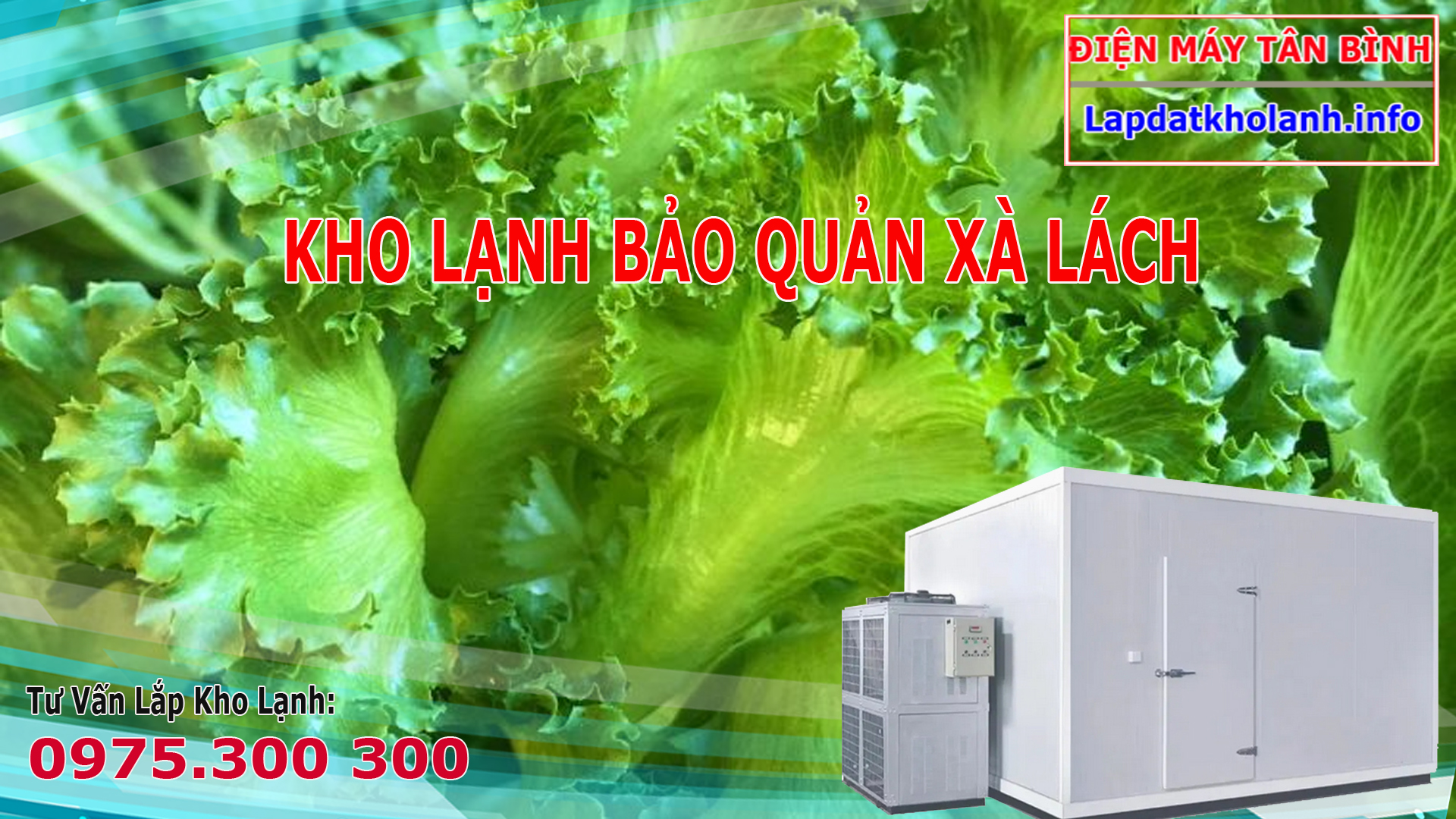 Lắp đặt kho lạnh bảo quản Xà lách thủy tinh đúng chuẩn