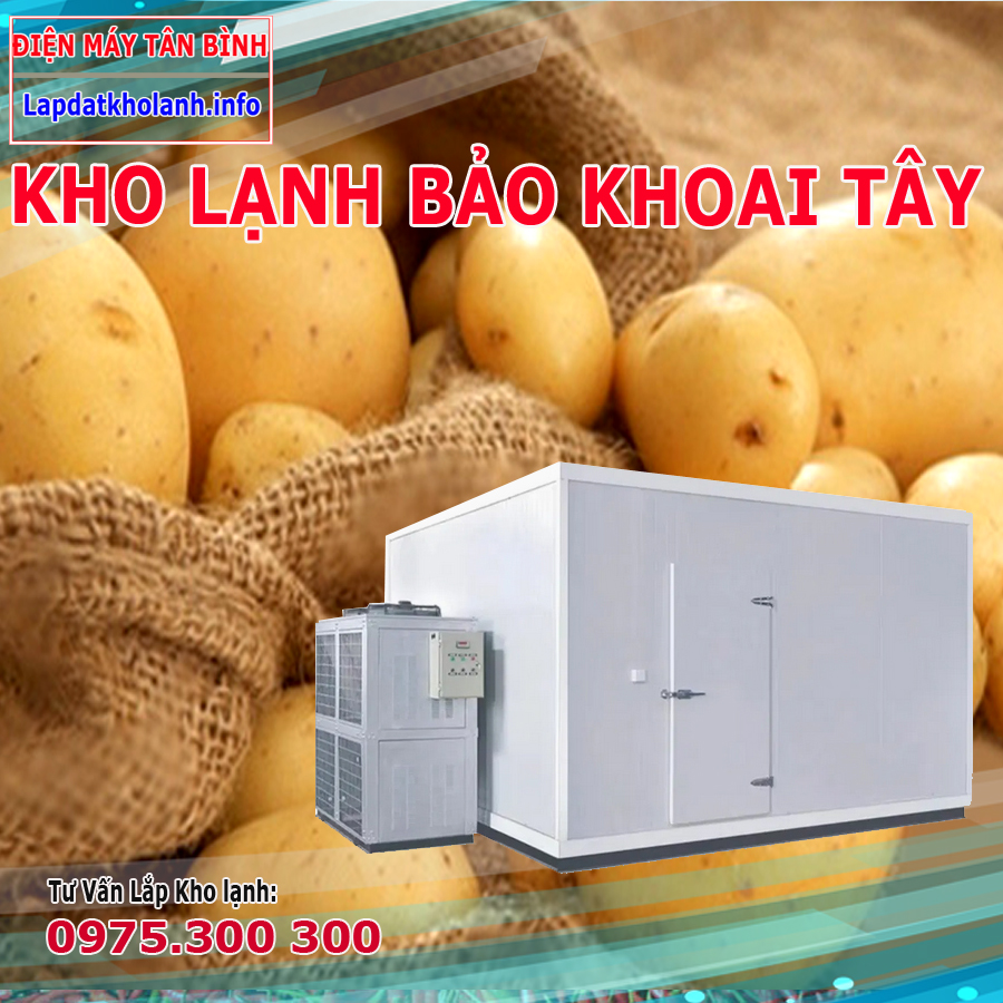 kho lạnh bảo quản khoai tây