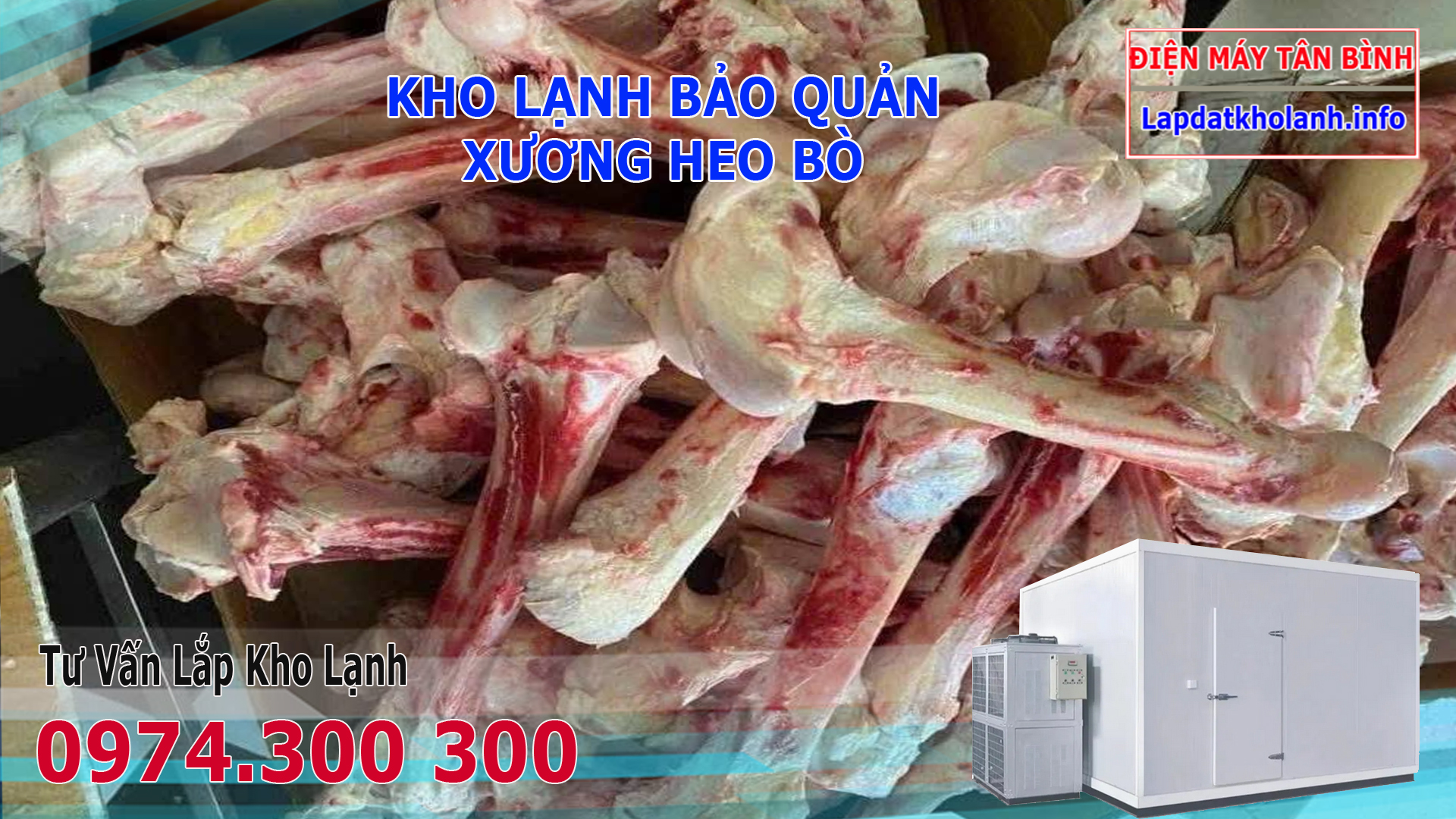 kho lạnh bảo quản xương heo bò gà