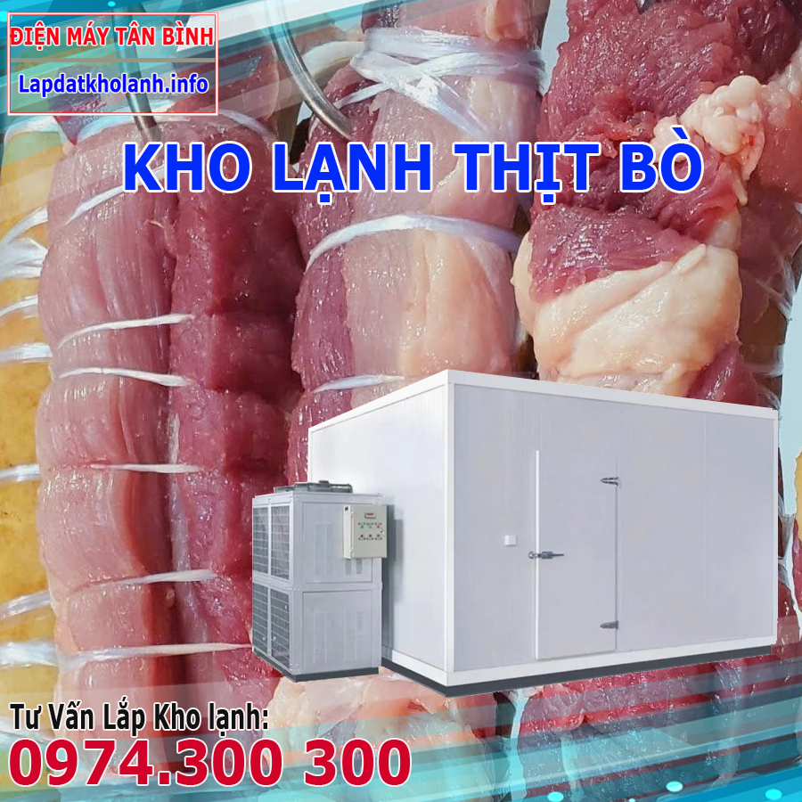 Lắp đặt kho lạnh bảo quản Thịt Bò Tươi và Đông lạnh