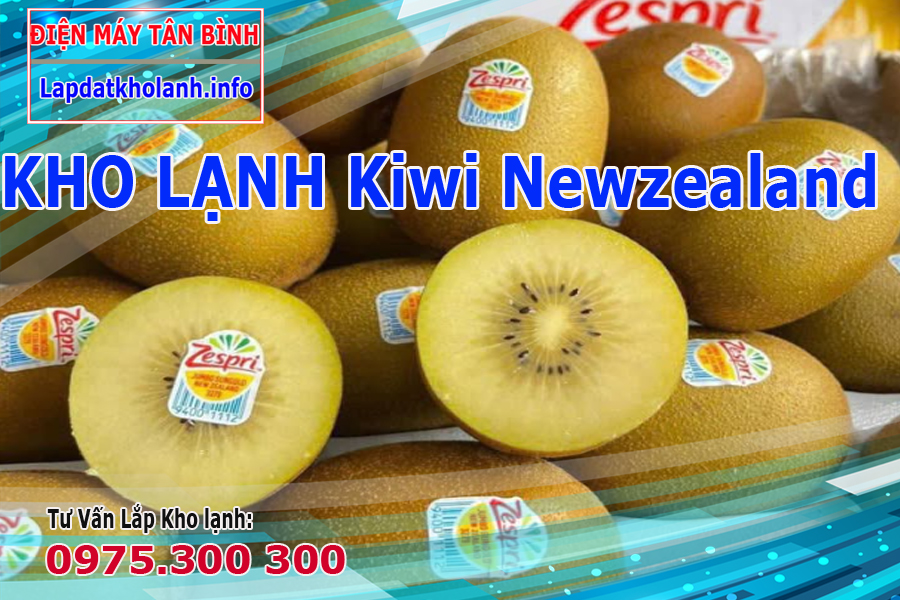 Kho lạnh bảo quản Kiwi Newzealand cần tiêu chuẩn gì?