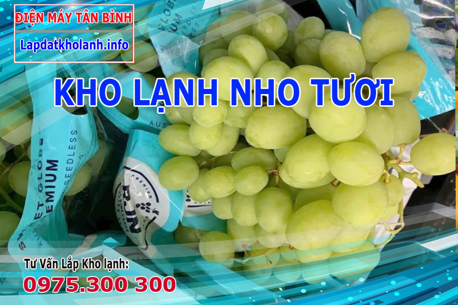 Nho bảo quản ở nhiệt độ bao nhiêu, Kho lạnh Nho tươi cần tiêu chuẩn gì