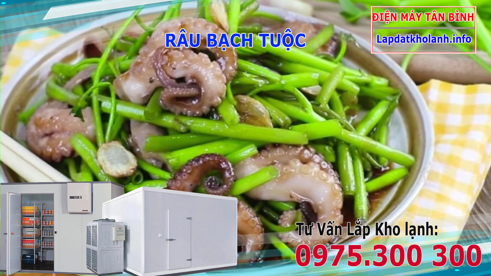 Râu bạch tuộc làm món gì? Bạch tuộc chứa nhiều Calo không