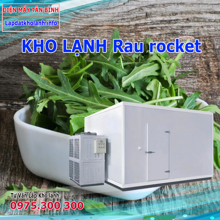 Lắp đặt kho lạnh bảo quản rau rocket