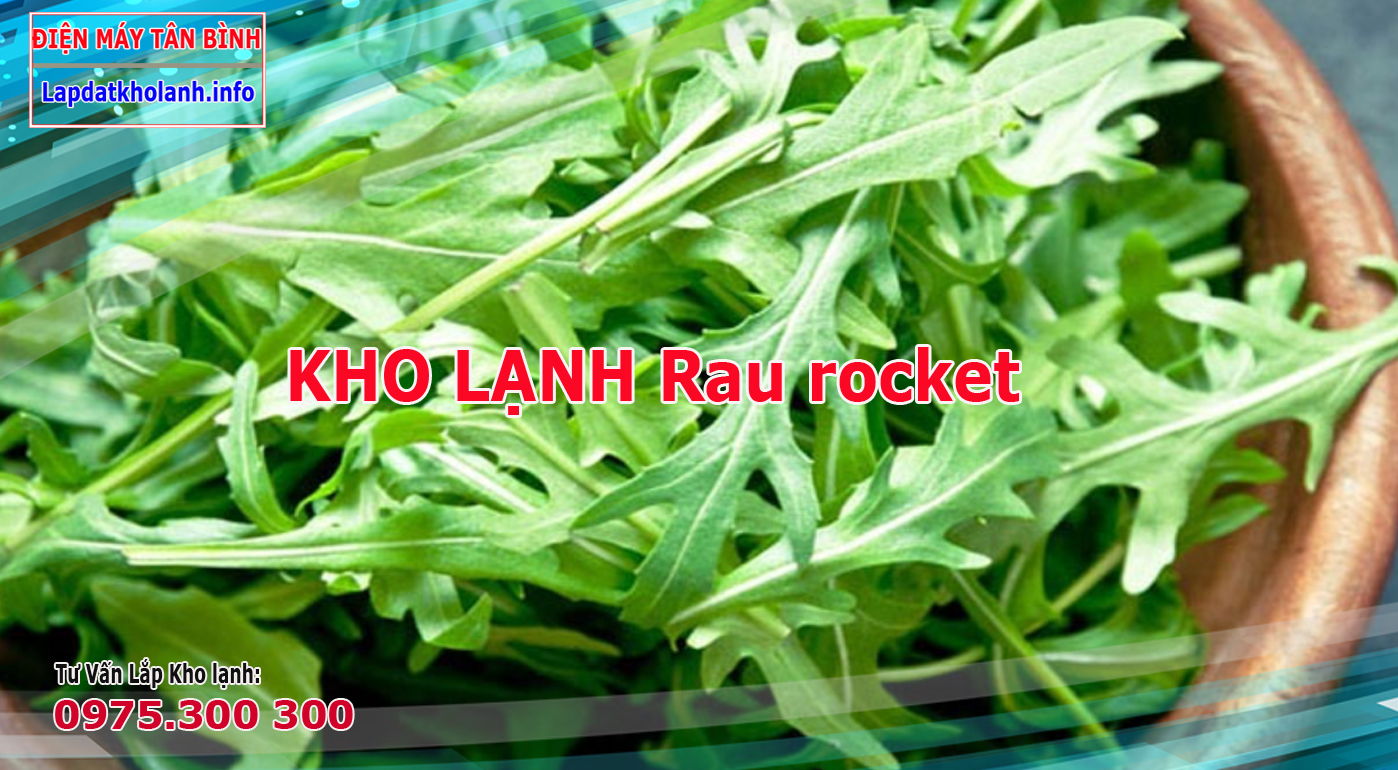 Những lưu ý khi Lắp kho lạnh bảo quản Rau rocket