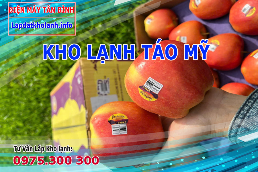 Bảo quản Táo Ambrosia Gold Mỹ đúng cách để tươi lâu
