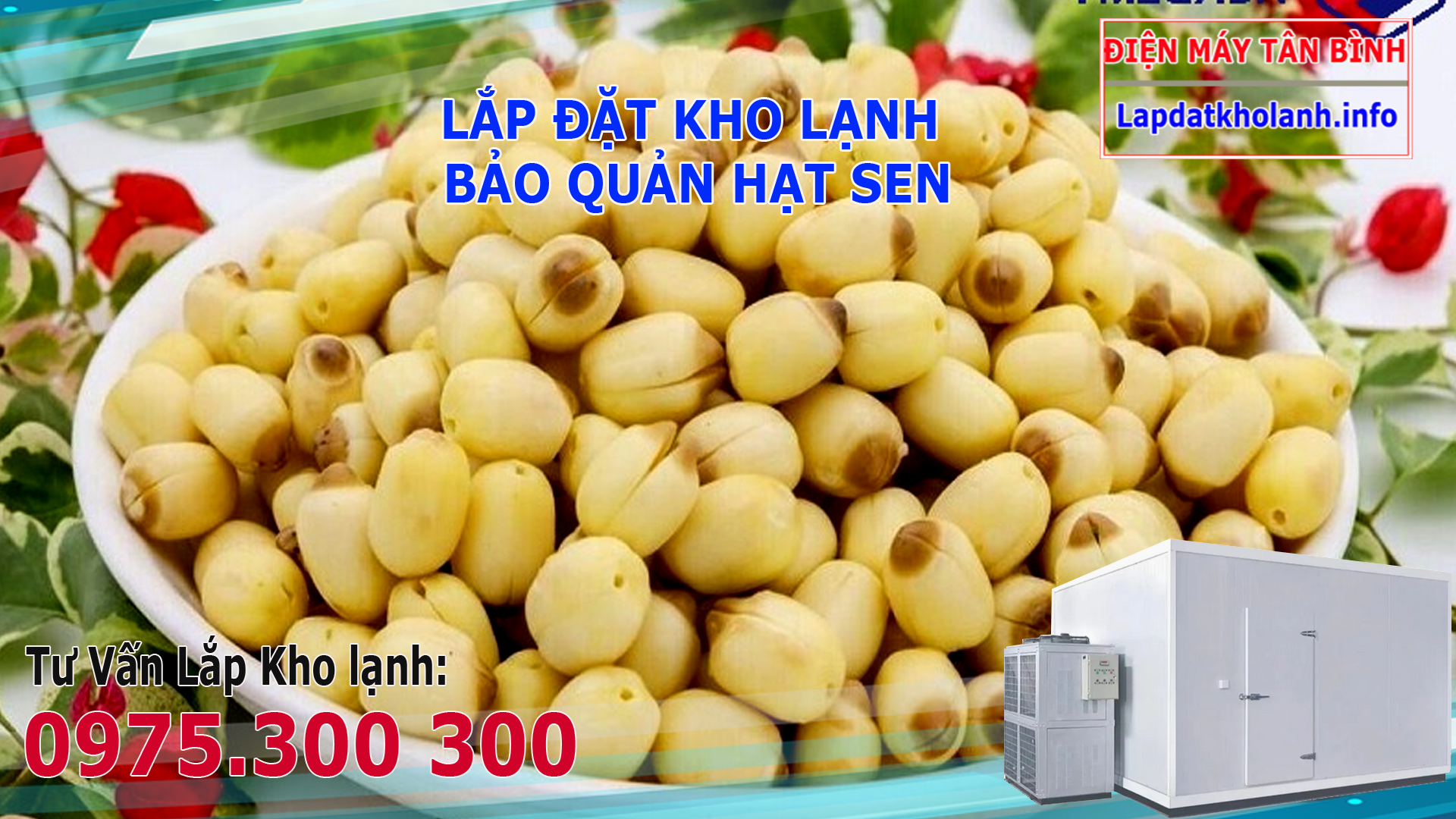 Cách bảo quản hạt sen đã nấu chín
