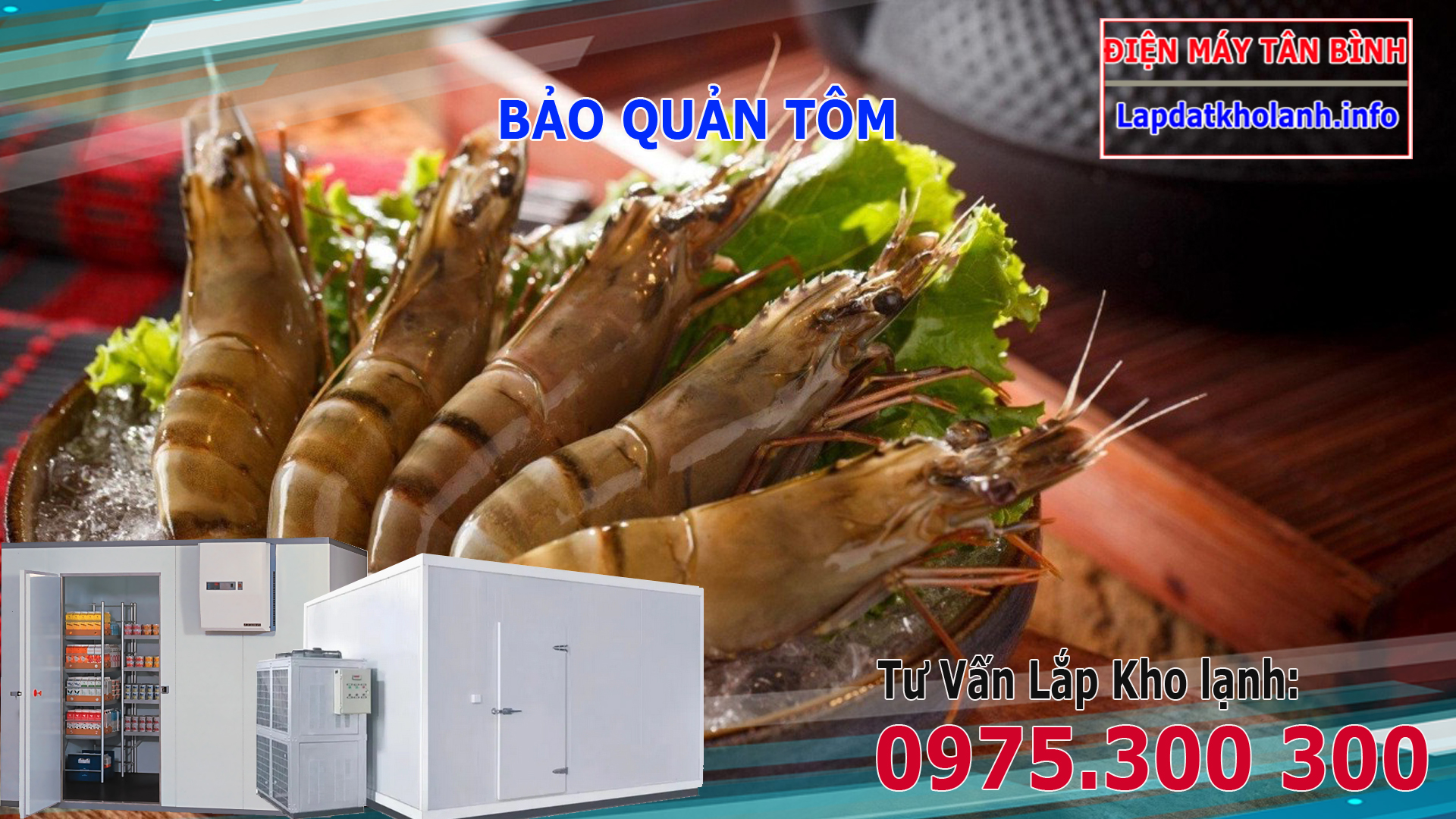 Dinh Dưỡng Có Trong Tôm, Cách Bảo Quản Tôm Tươi Lâu