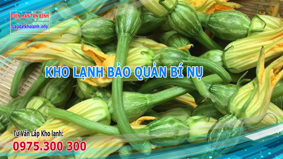 Những lưu ý khi Lắp kho lạnh bảo quản Bí nụ
