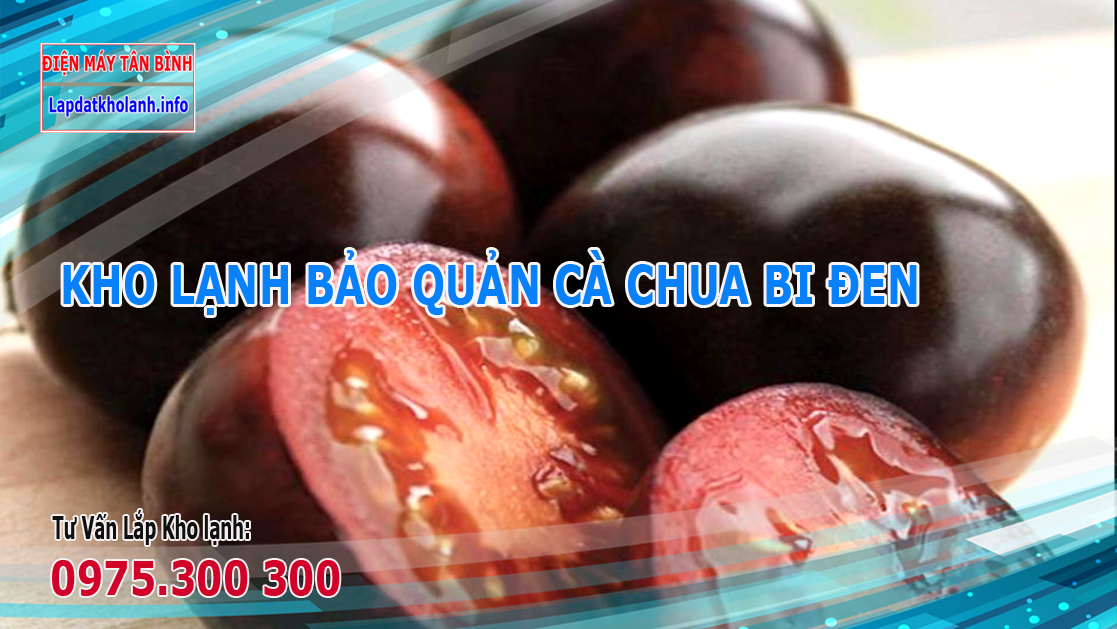 Những lưu ý khi Lắp kho lạnh bảo quản Cà chua bi đen