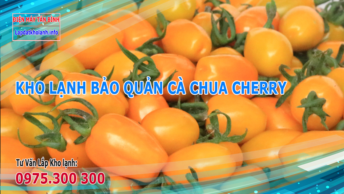 Những lưu ý khi Lắp kho lạnh bảo quản Cà chua cherry vàng Đà Lạt