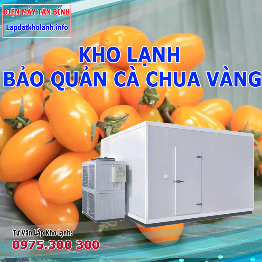 Lắp đặt kho lạnh bảo quản cà chua cherry vàng đà lạt