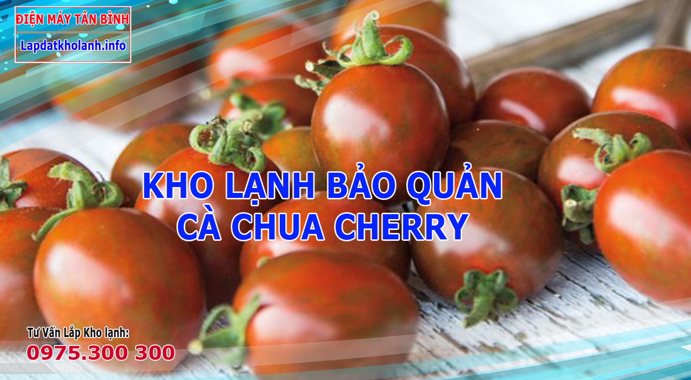 Những lưu ý khi Lắp kho lạnh bảo quản Cà Chua Cherry Socola