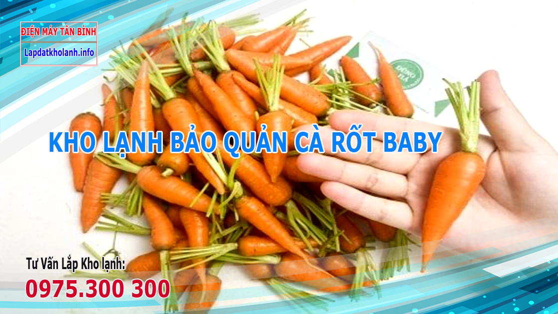 Những lưu ý kho lắp đặt kho lạnh bảo quản Cà rốt baby