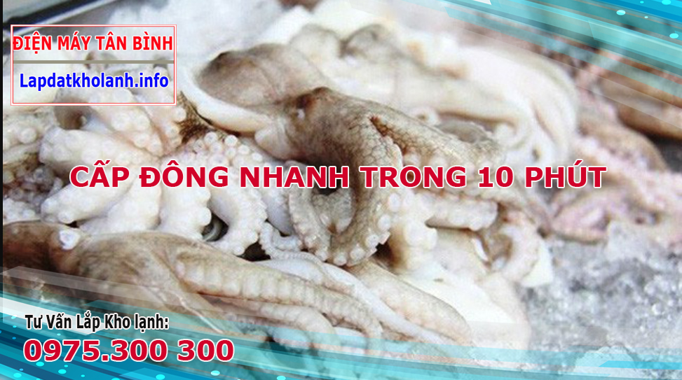 cấp đông nhanh bạch tuộc trong 10 phút