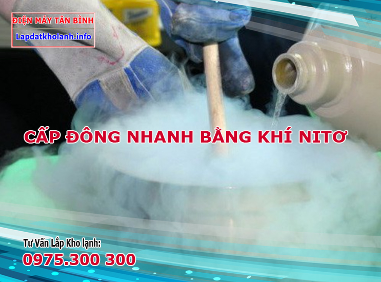 Sử dụng phương pháp cấp đông bằng nitơ lỏng