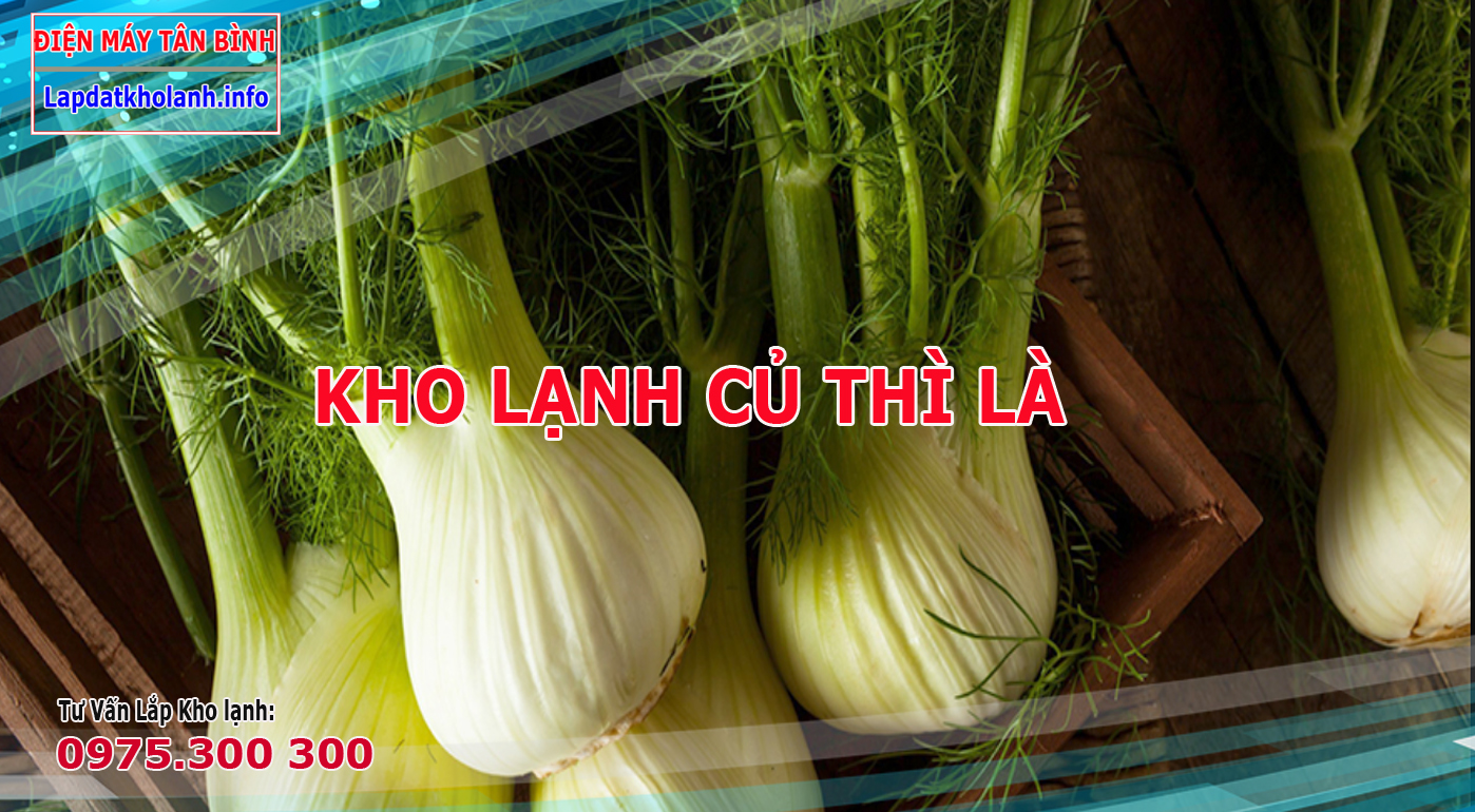 Những lưu ý khi Lắp kho lạnh bảo quản Củ Hồi - Củ Thì Là Đà Lạt