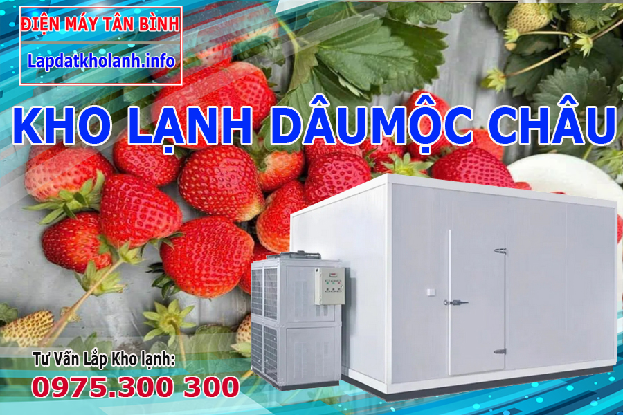 Cách bảo quản Quả dâu Mộc Châu tươi lâu trong kho lạnh