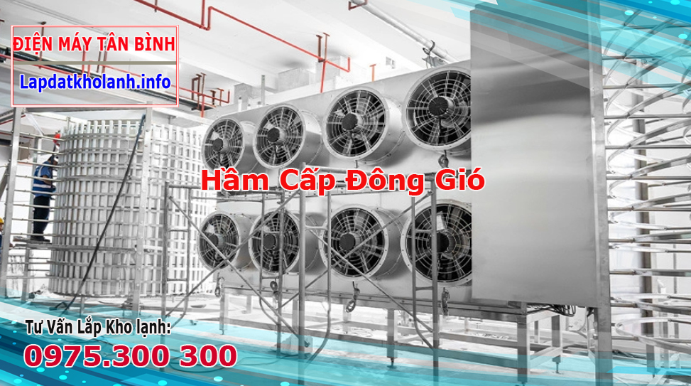 Cấp đông BQF là gì?