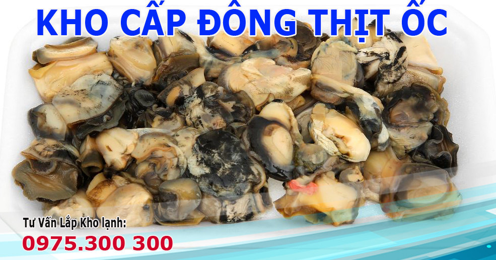 kho cấp đông thịt ốc