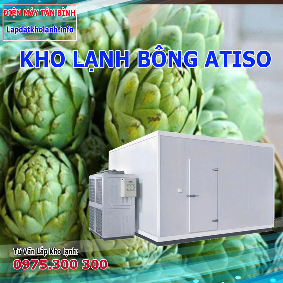 lắp đặt kho lạnh bảo quản bông atiso