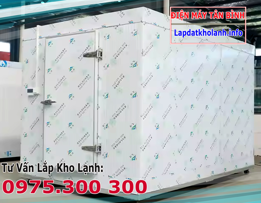 lắp đặt kho lạnh bảo quản râu bạch tuộc