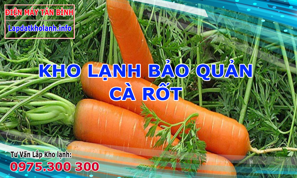 kho lạnh bảo quản cà rốt