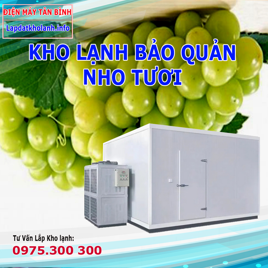 Lắp đặt kho lạnh bảo quản Nho tươi