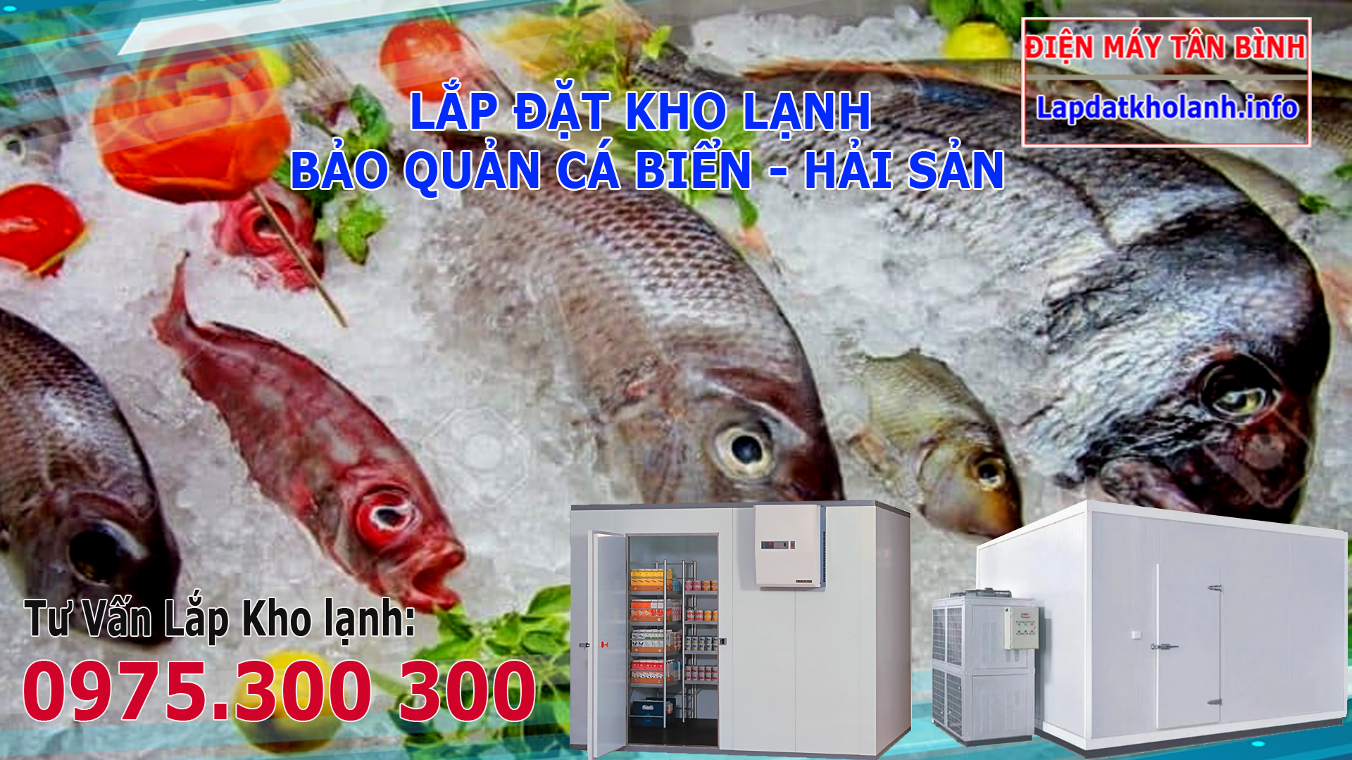 Cách bảo quản cá tươi lâu trong ngăn đá hoặc kho đông cá biển