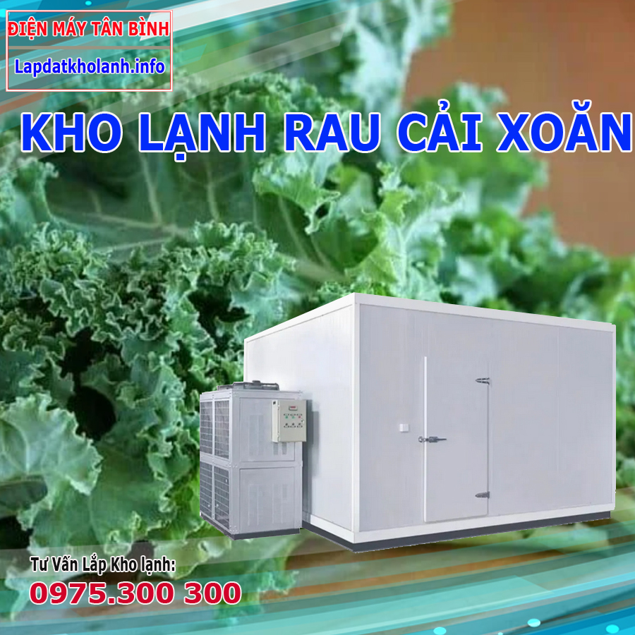 Lắp đặt kho lạnh bảo quản cải kale cải xoăn